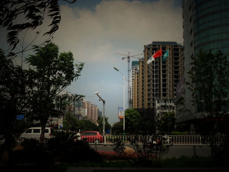 SDC17536.jpg