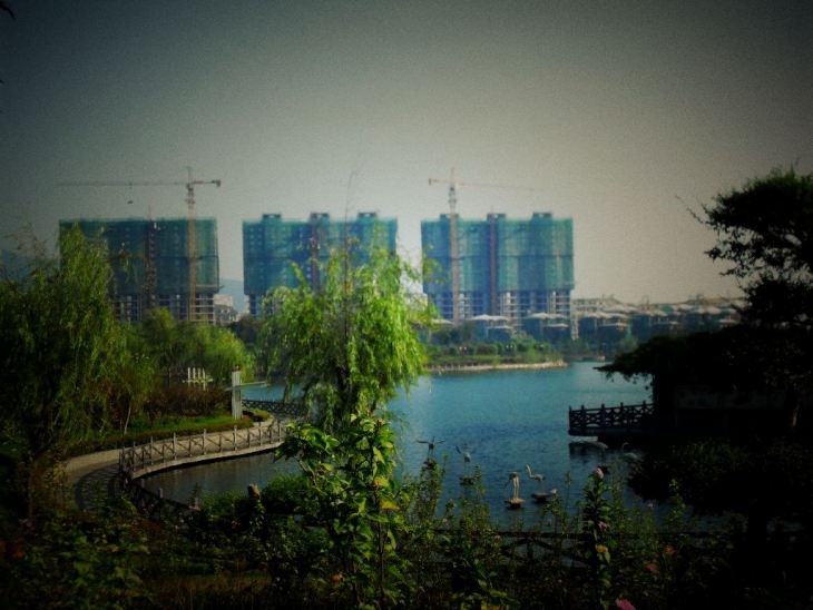 SDC17509.jpg