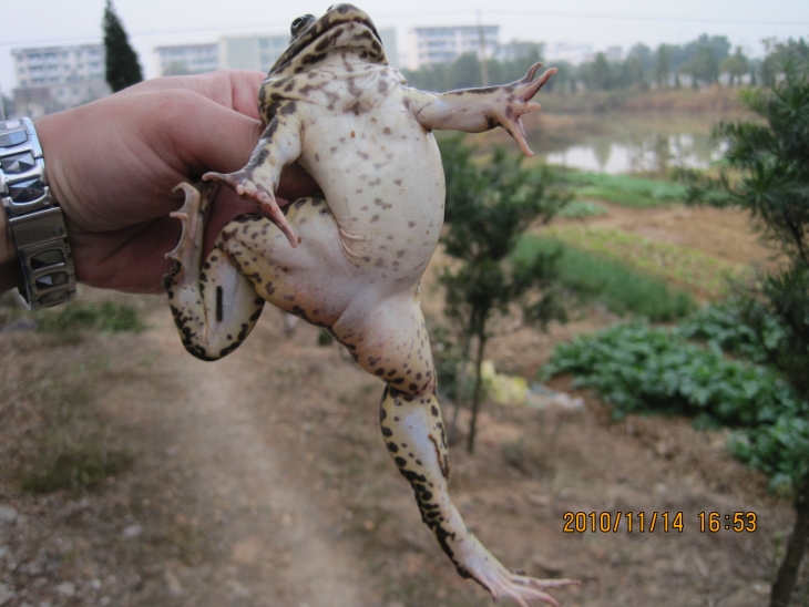 Ƭ 008.jpg